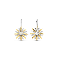 Boucles d'oreilles Ti Sento Milano Femme in Argent 7861ZY - 7861ZY